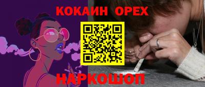 индика Кандалакша