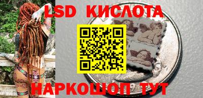 прущие грибы Канаш