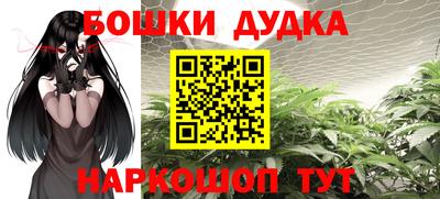 индика Кандалакша
