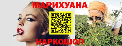 прущие грибы Канаш