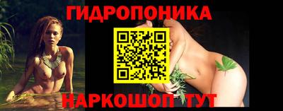 индика Кандалакша
