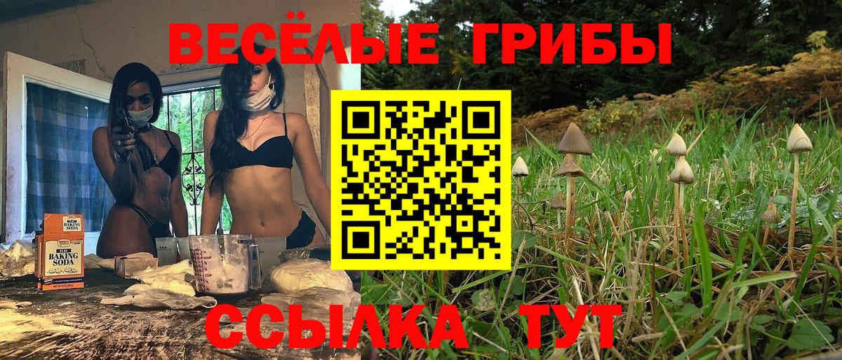 Псилоцибиновые грибы Cubensis Химки