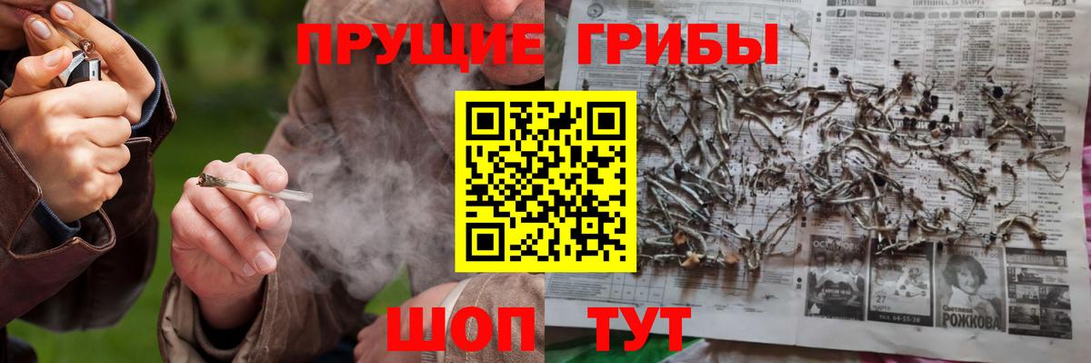 Химки  где можно купить наркотик  Псилоцибиновые грибы Psilocybine cubensis  Вход с VPN  Галлюциногенные грибы мухоморы 